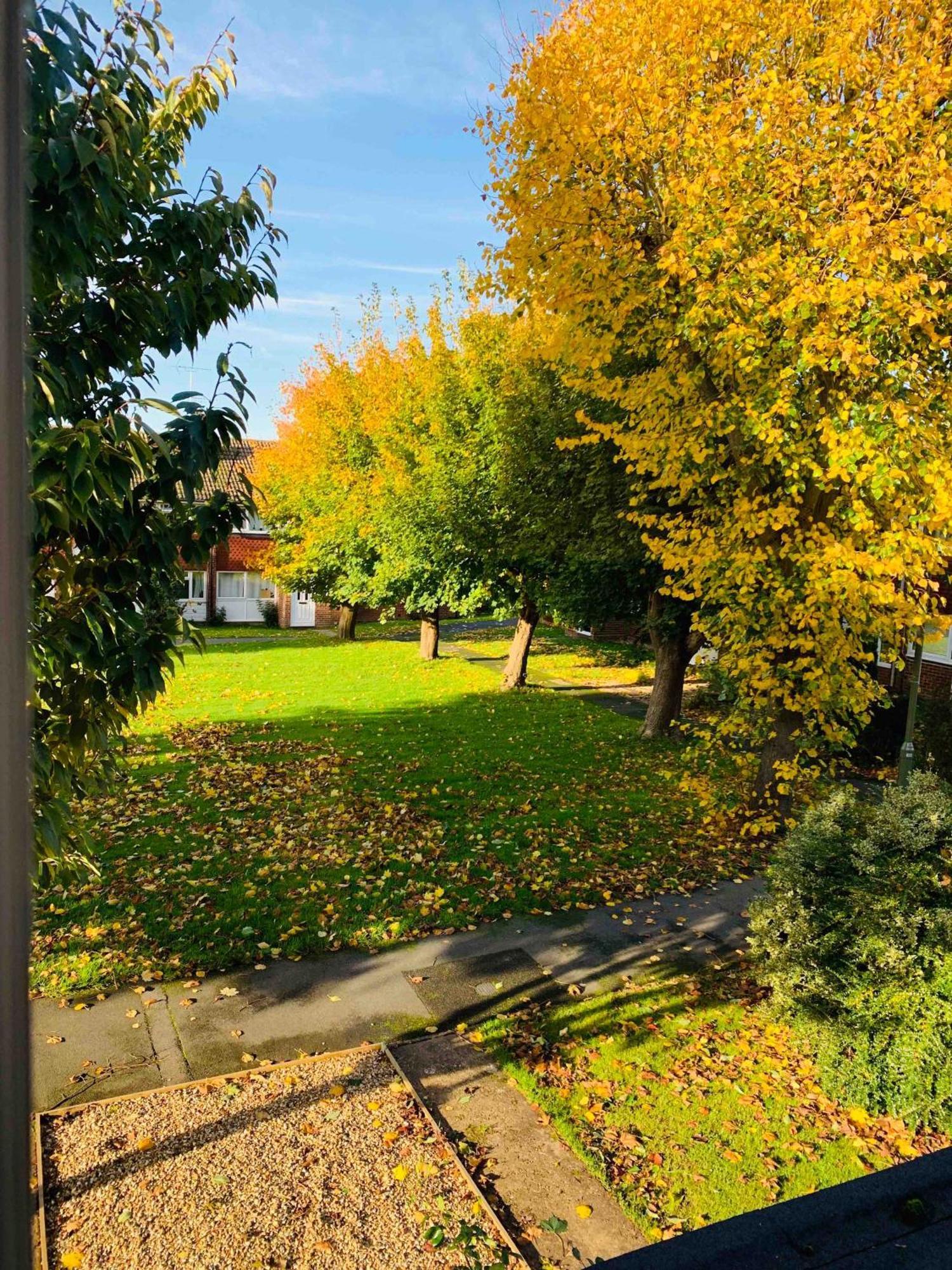Spacious House, Free Parking & Patio Garden Farnham  Exteriér fotografie